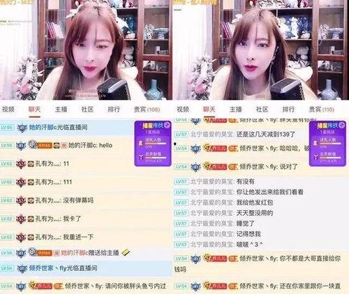 龙猫爆料主播视频大全最新,揭秘主播圈最新视频大全精彩瞬间  第3张