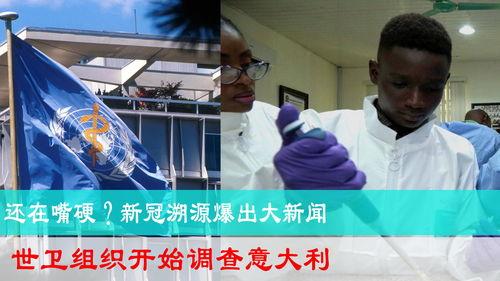 新冠源头爆料新闻最新,最新爆料揭示病毒起源之谜  第3张